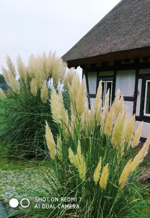Podroze Checz Villa Charbrowo Exteriör bild