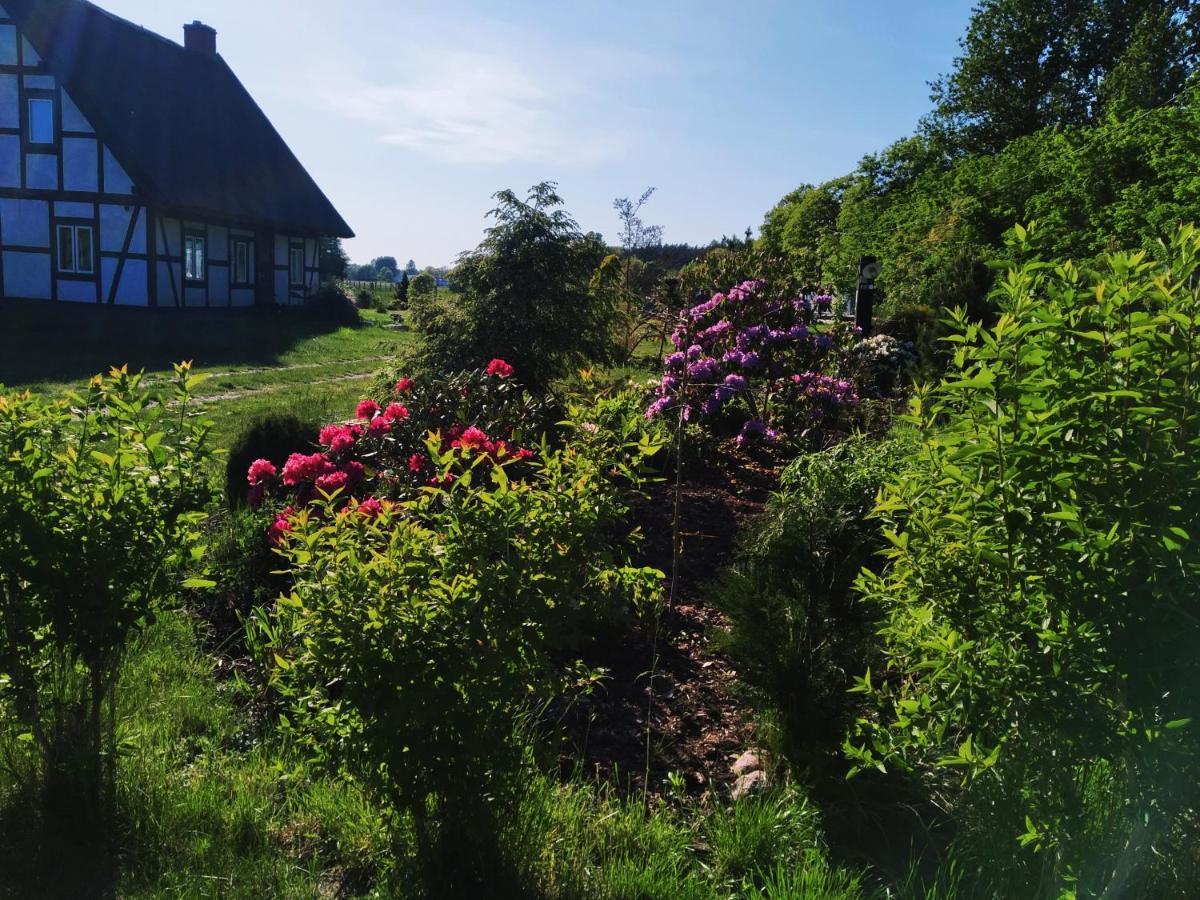 Podroze Checz Villa Charbrowo Exteriör bild