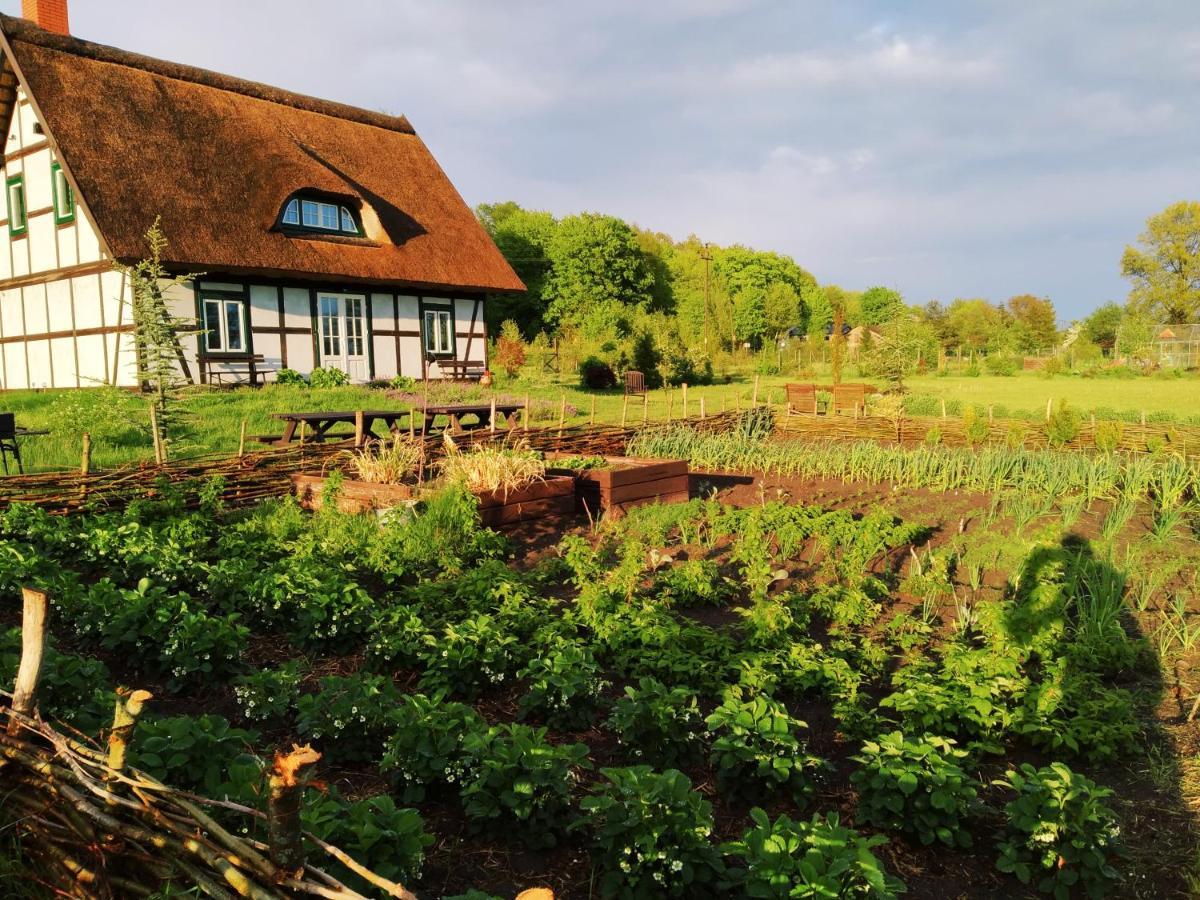 Podroze Checz Villa Charbrowo Exteriör bild