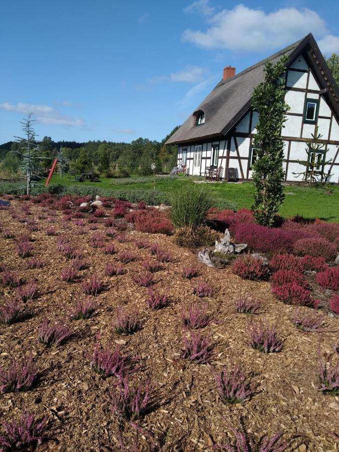 Podroze Checz Villa Charbrowo Exteriör bild
