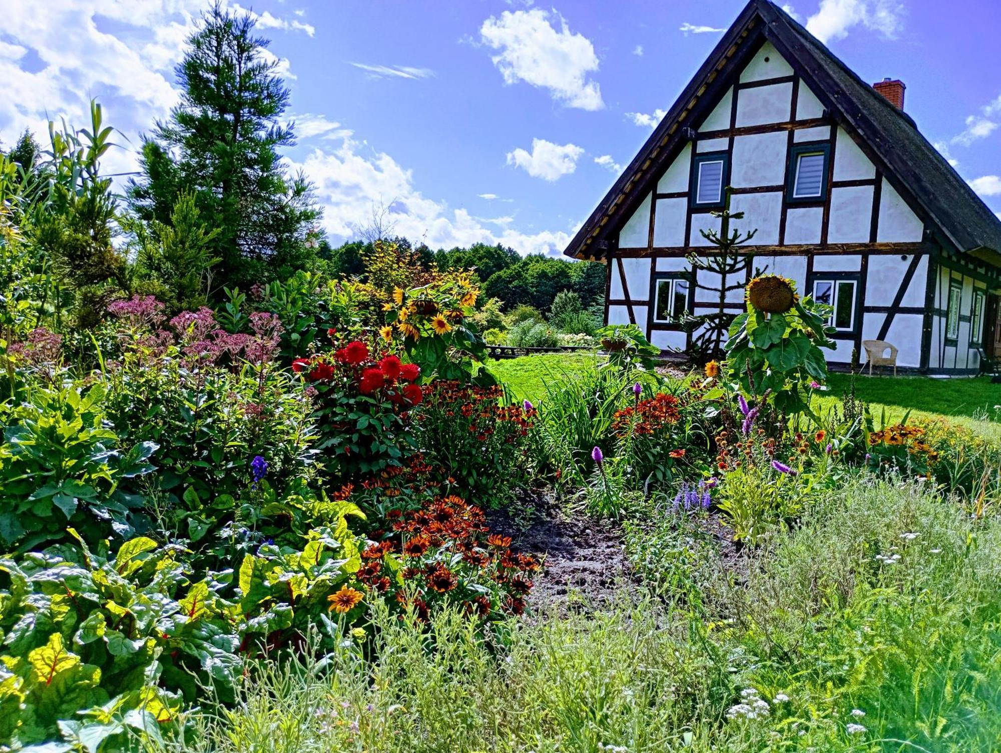 Podroze Checz Villa Charbrowo Exteriör bild