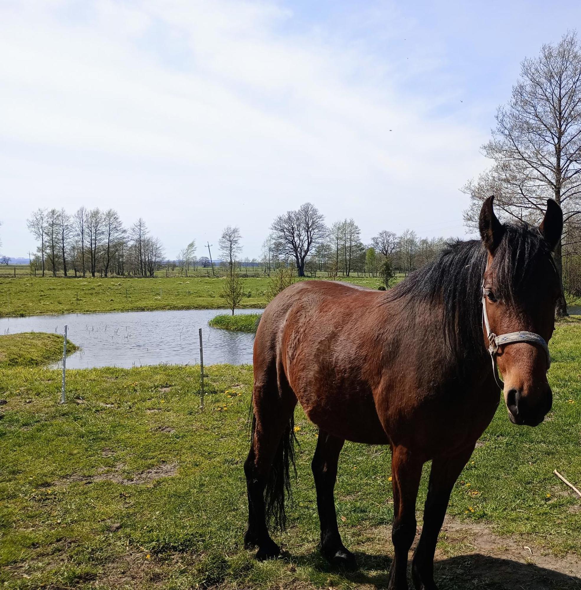 Podroze Checz Villa Charbrowo Exteriör bild